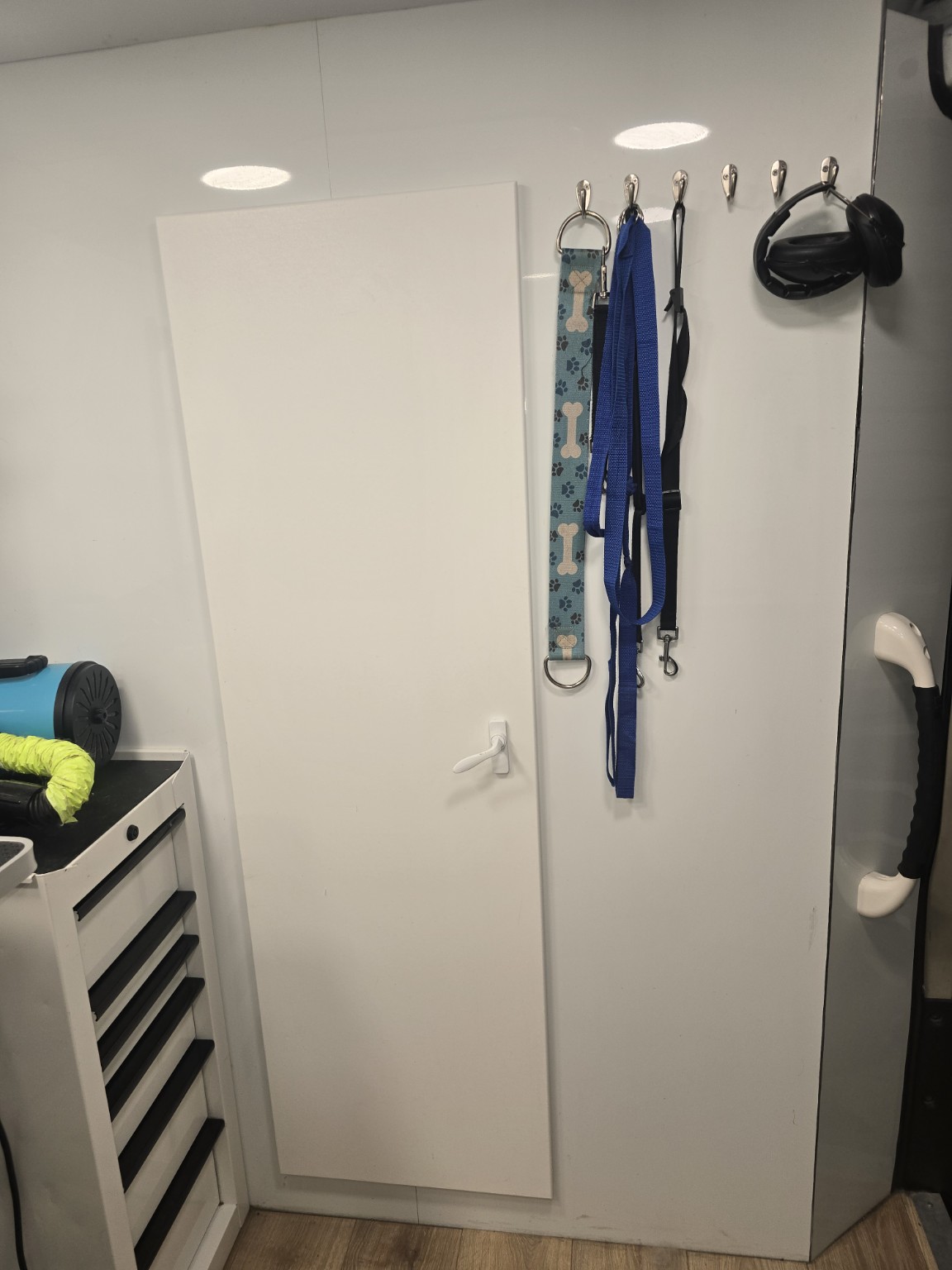 Organized salon storage and grooming accessories